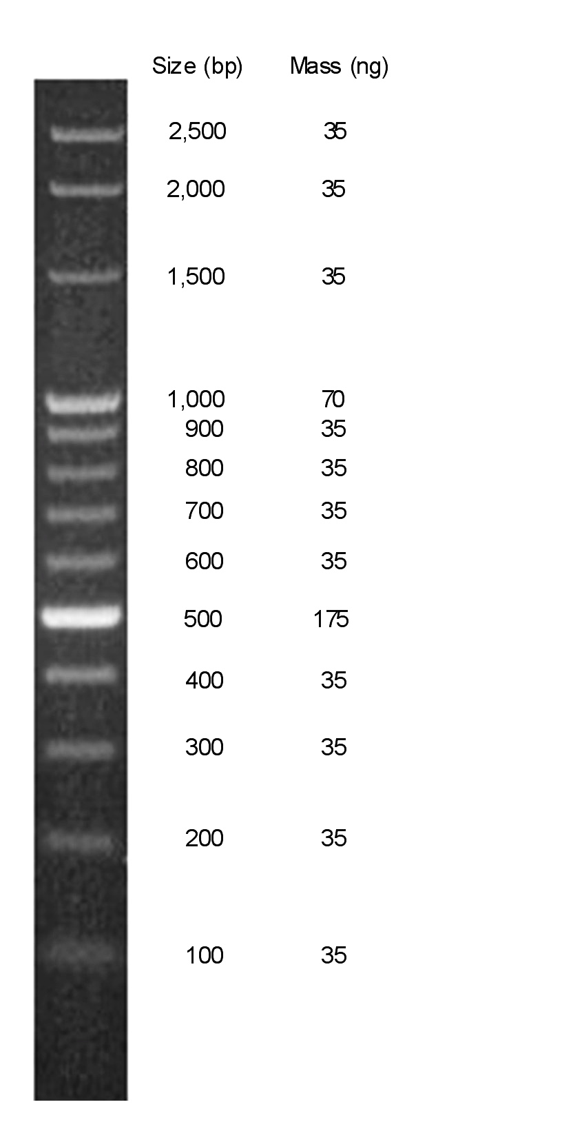 Chimerx Perfect Plus 100 bp DNA Ladder 