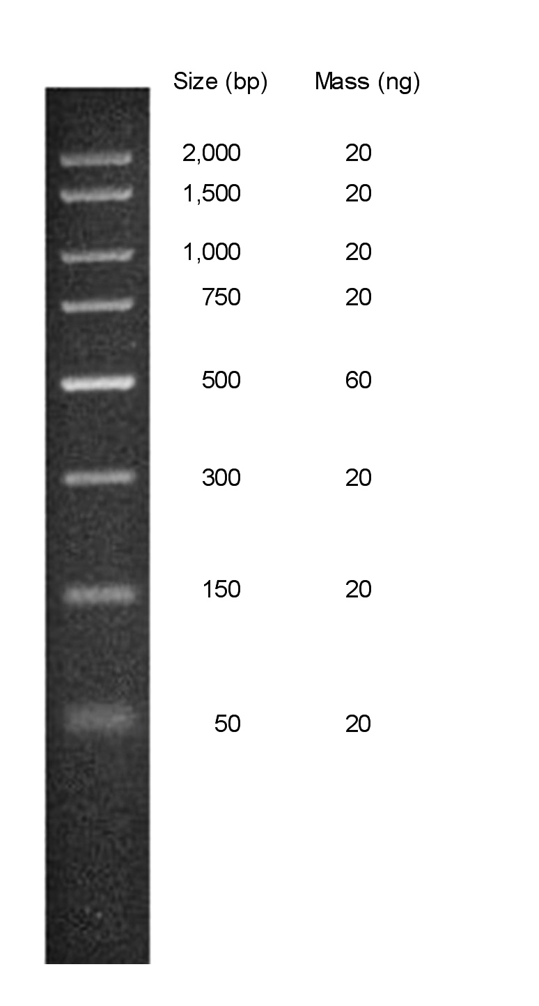 Chimerx Perfect Plus 2 Kb DNA Ladder 