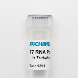 T7 RNA Polymerase in Trehalose - CHIMERx