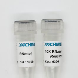 RNase I - CHIMERx