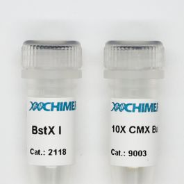 BstX I - CHIMERx