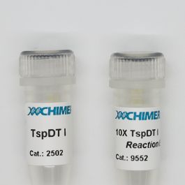TspDT I - CHIMERx
