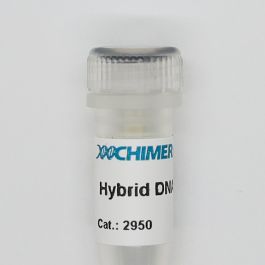 Hybrid DNA Polymerase - CHIMERx