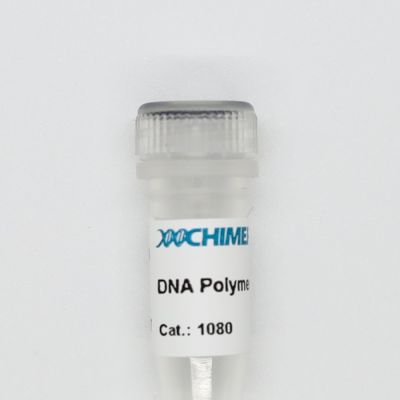 Mesophilic DNA-dependent DNA polymerase I, derived from E. coli