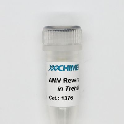 AMV Reverse Transcriptase supplied in Trehalose Buffer. Contains both reverse transcriptase and RNase H activities.