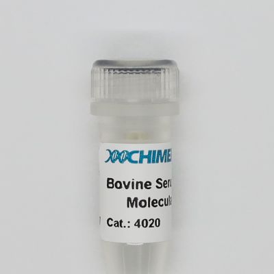 Molecular Biology grade Bovine Serum Albumin acetylated to inactivate contaminating nucleases. Used as a supplement in biochemical reactions.