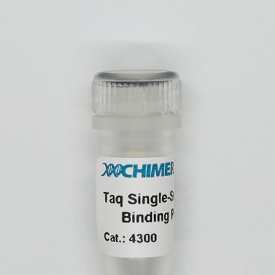 Taq thermostable single-stranded specific DNA binding protein suitable for high temperature DNA manipulations.