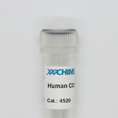 Human Cot DNA